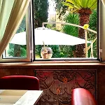 Aedes Il Giardino Dei Sogni לינה וארוחת בוקר לצ'ה