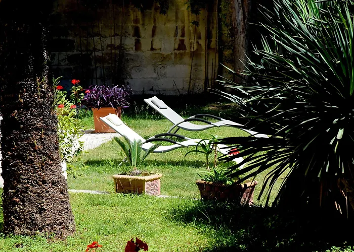 Aedes Il Giardino Dei Sogni